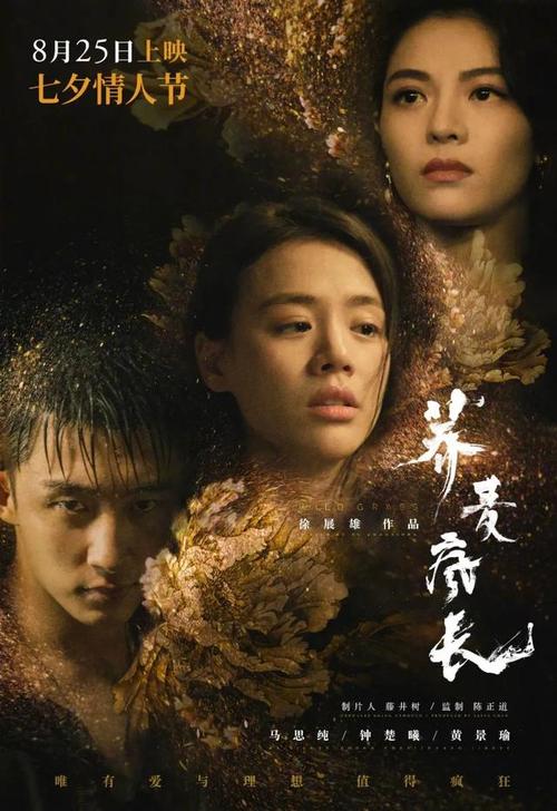 马龙学院环境科学学位证书